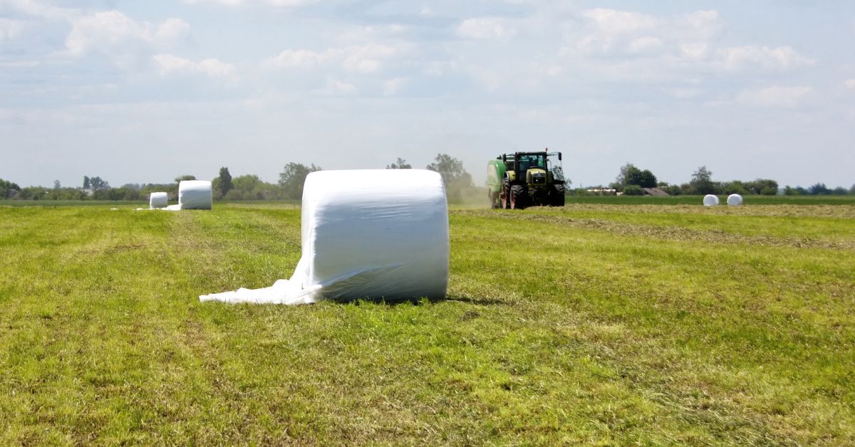 And More<br><p>Agricultural, greenhouse, and silage film, tape jumbos, and most other wound web up to 48 inches in diameter.</p>