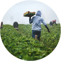 Agriculture