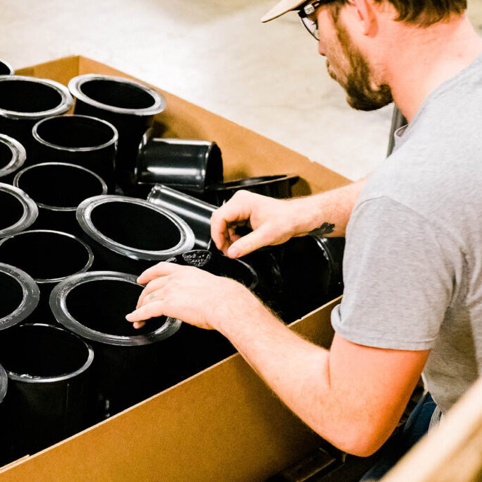 Employee organizing Tamarack core plugs